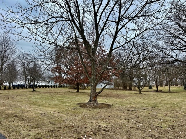 4776 - 0 W State Route 102 Property Photo 3