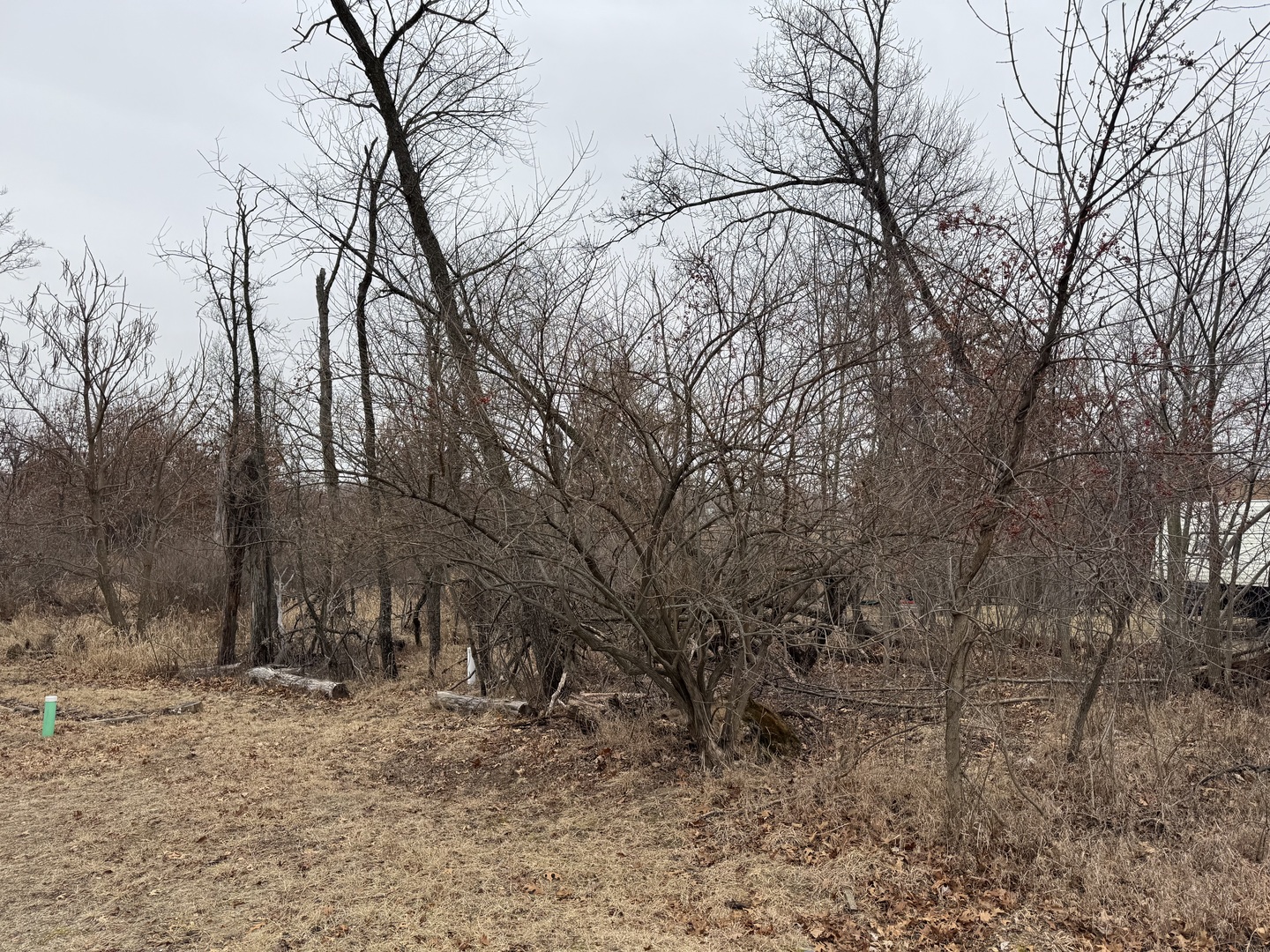 18/109 Woodhaven Property Photo 3