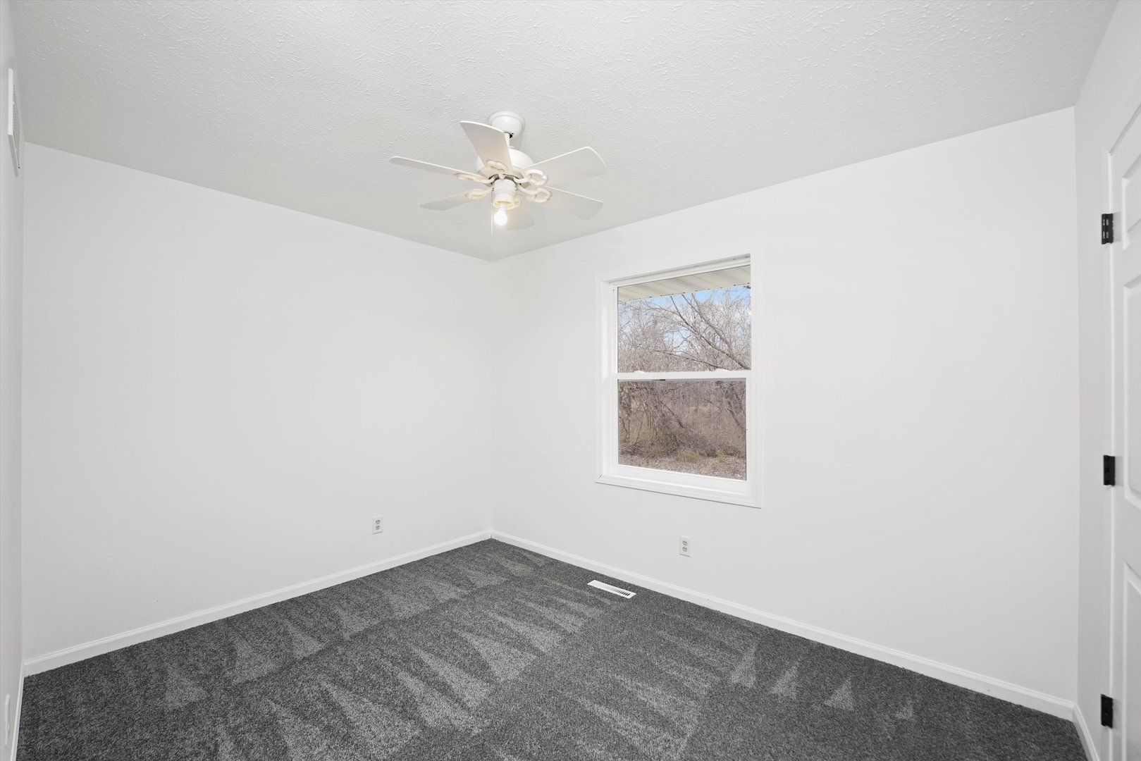 105 Constitution Drive Property Photo 14