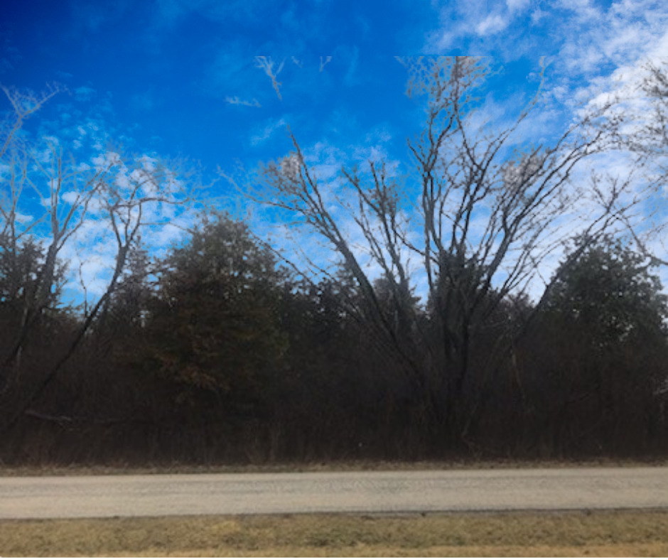 Lot 16 Harding Avenue Property Photo 1