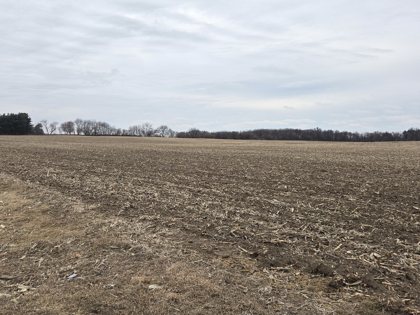 000 Kyte Road Property Photo 5