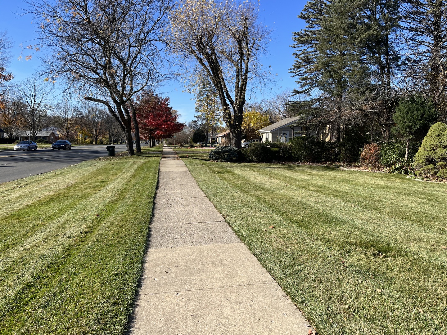 8 N Greenwood Ave Property Photo 9