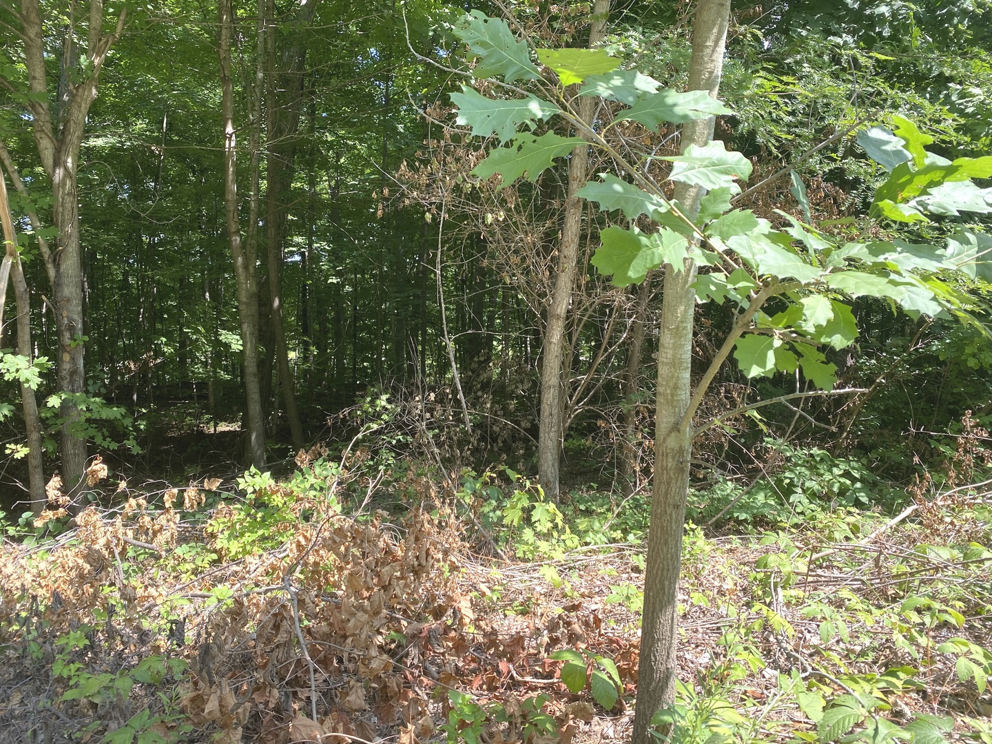 2184-2266 S 150000 E Road Property Photo
