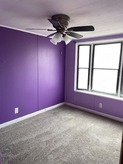134 Joyce Drive Property Photo 23