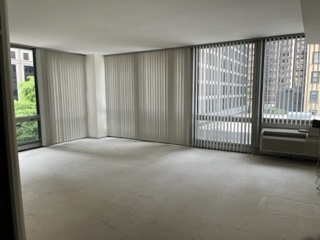 880 N Lake Shore Drive 3h Property Photo 3