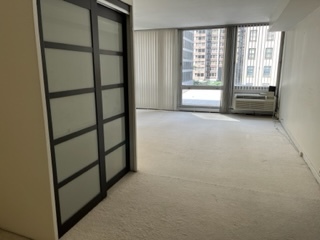 880 N Lake Shore Drive 3h Property Photo 4