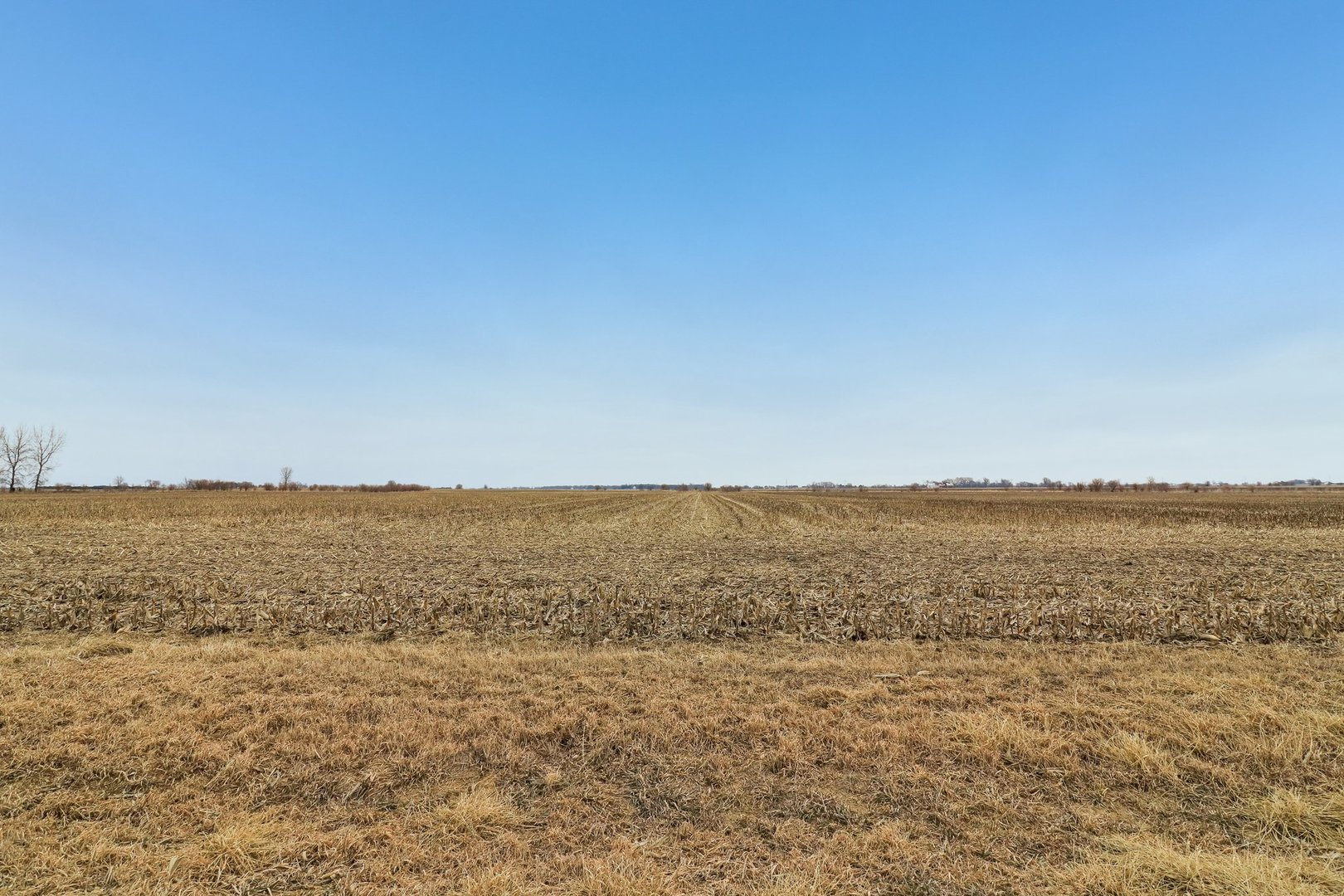 32309 S Cedar Road Property Photo 4