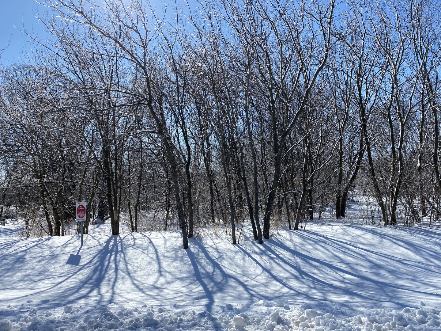 Lot 15 Campton Meadows Drive Property Photo