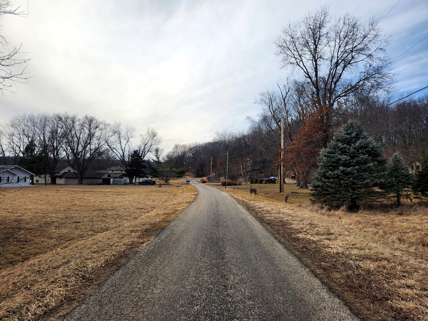 Lot 166/167 Beachview Court Property Photo 4