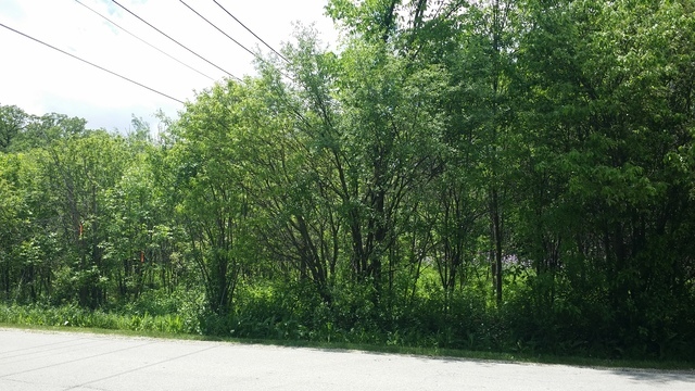 0s760 Cleveland Street Property Photo 3