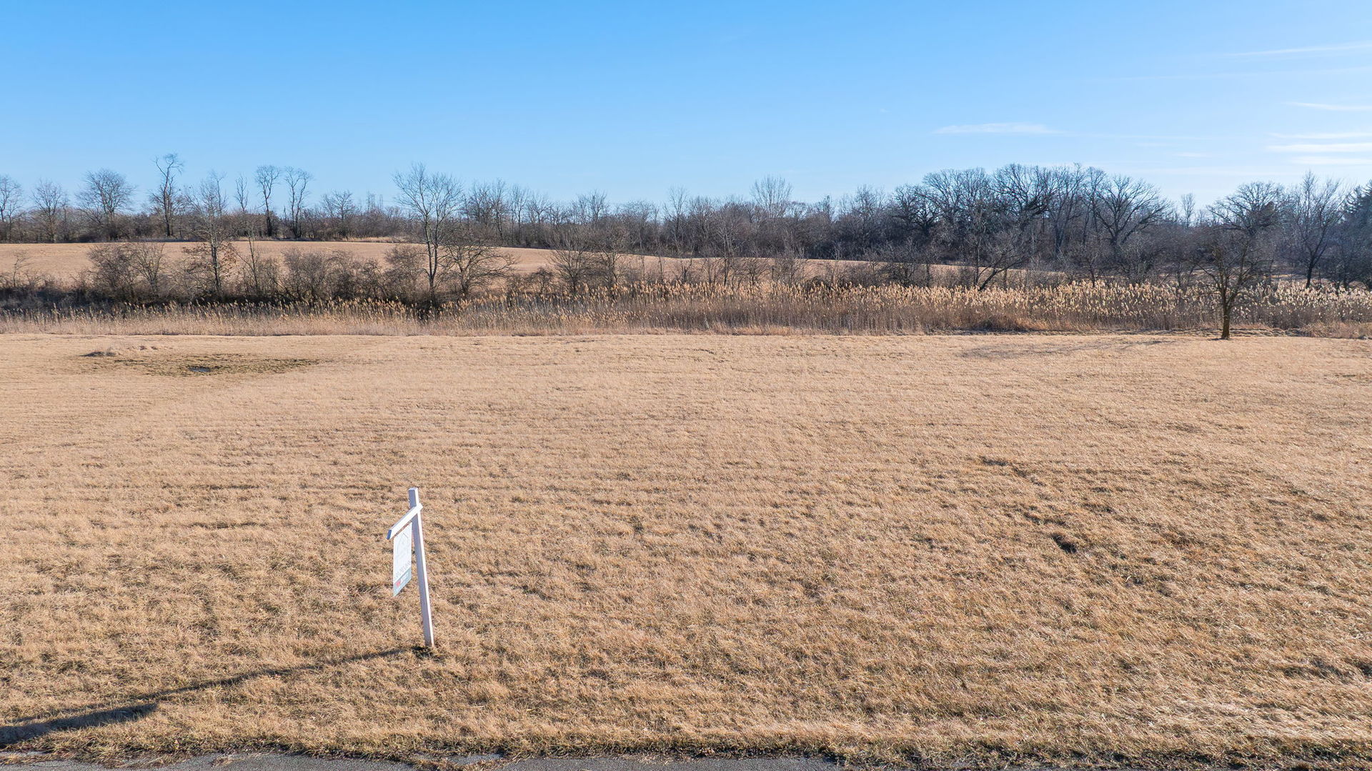11111 Frances Ln Property Photo 2