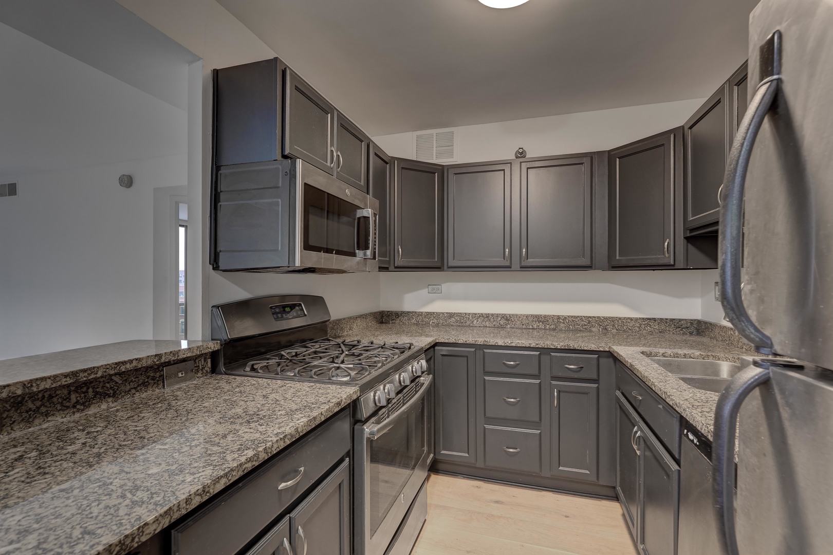 1309 N Wells Street 706 Property Photo 3