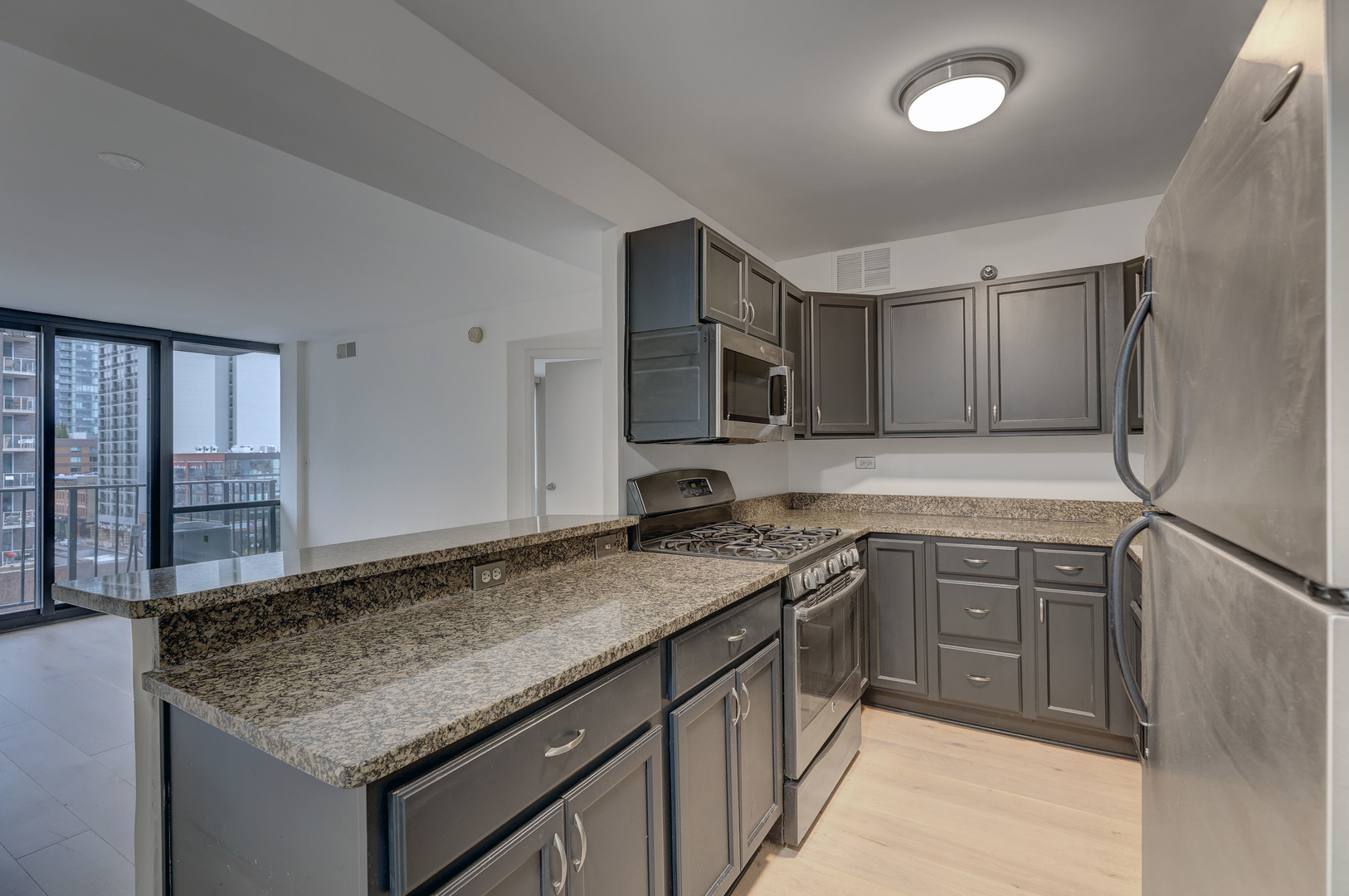 1309 N Wells Street 706 Property Photo 4