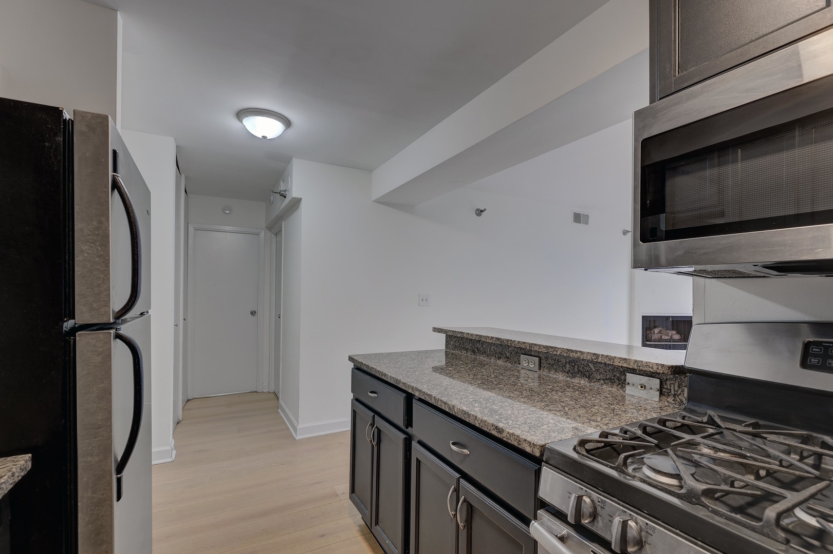 1309 N Wells Street 706 Property Photo 5