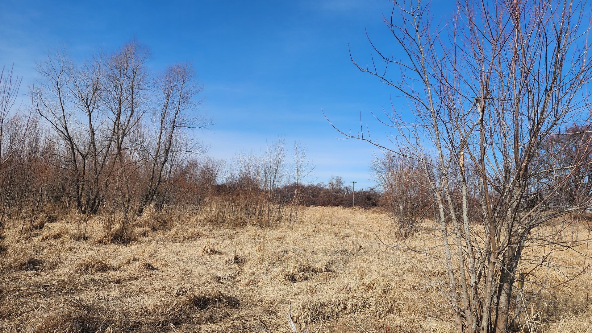 9836 E Maize Road Property Photo 2