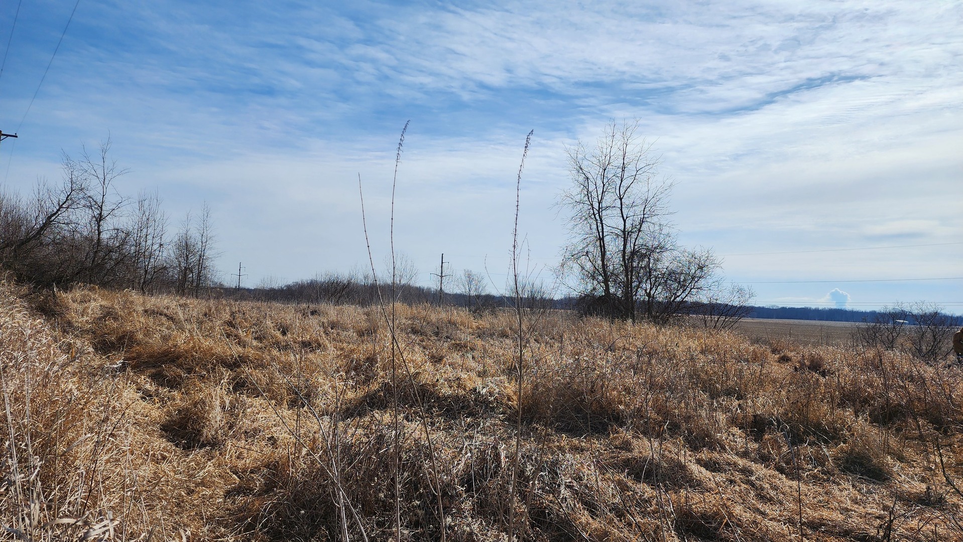 9836 E Maize Road Property Photo 4