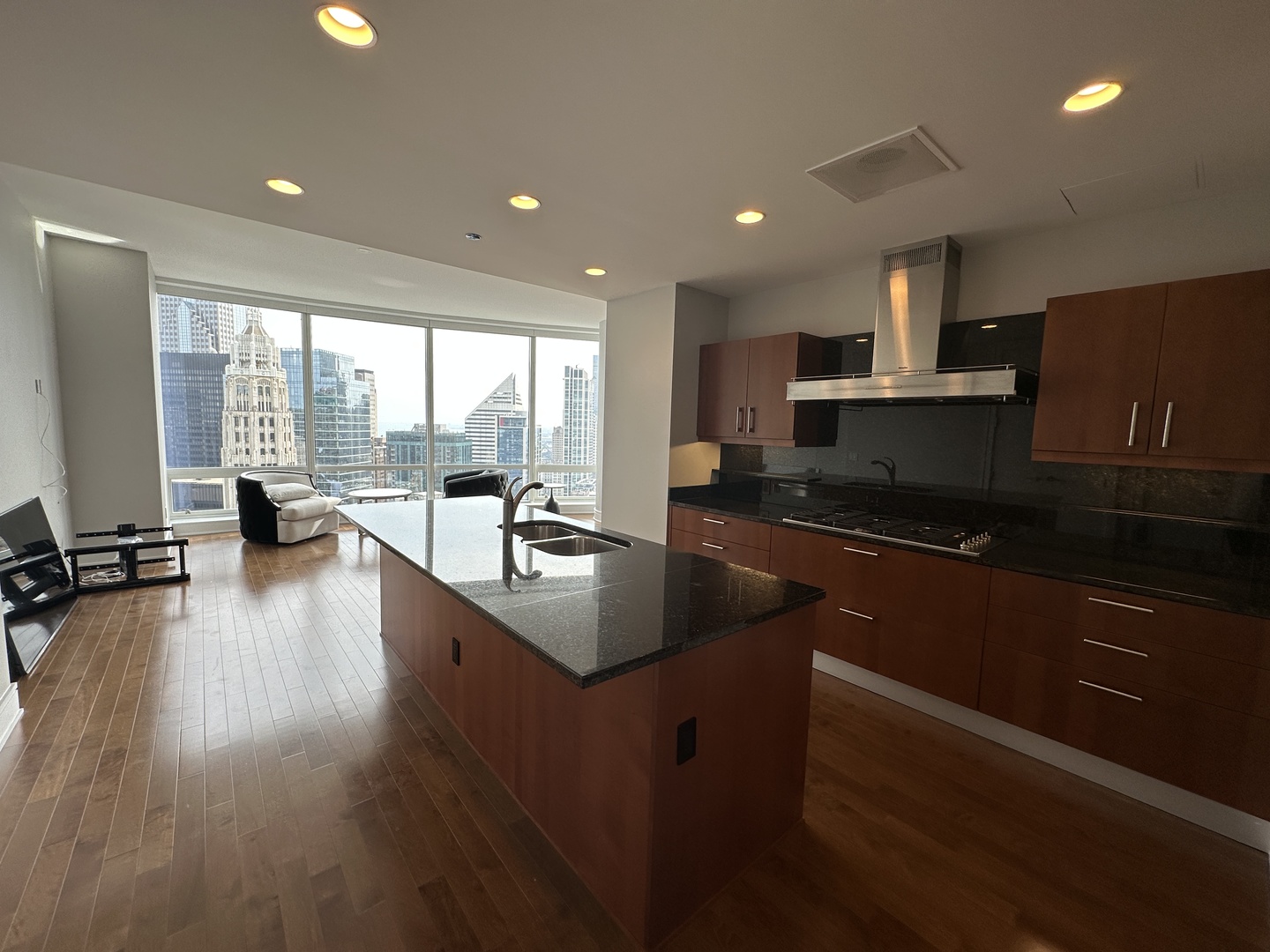 401 N Wabash Avenue 32h Property Photo 5
