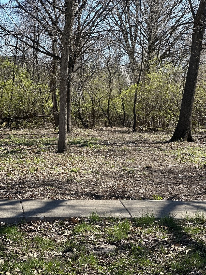 24863 W Sterling Oaks Court Property Photo 11