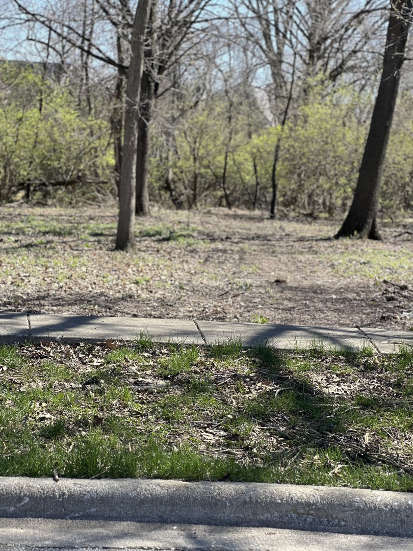 24863 W Sterling Oaks Court Property Photo 18