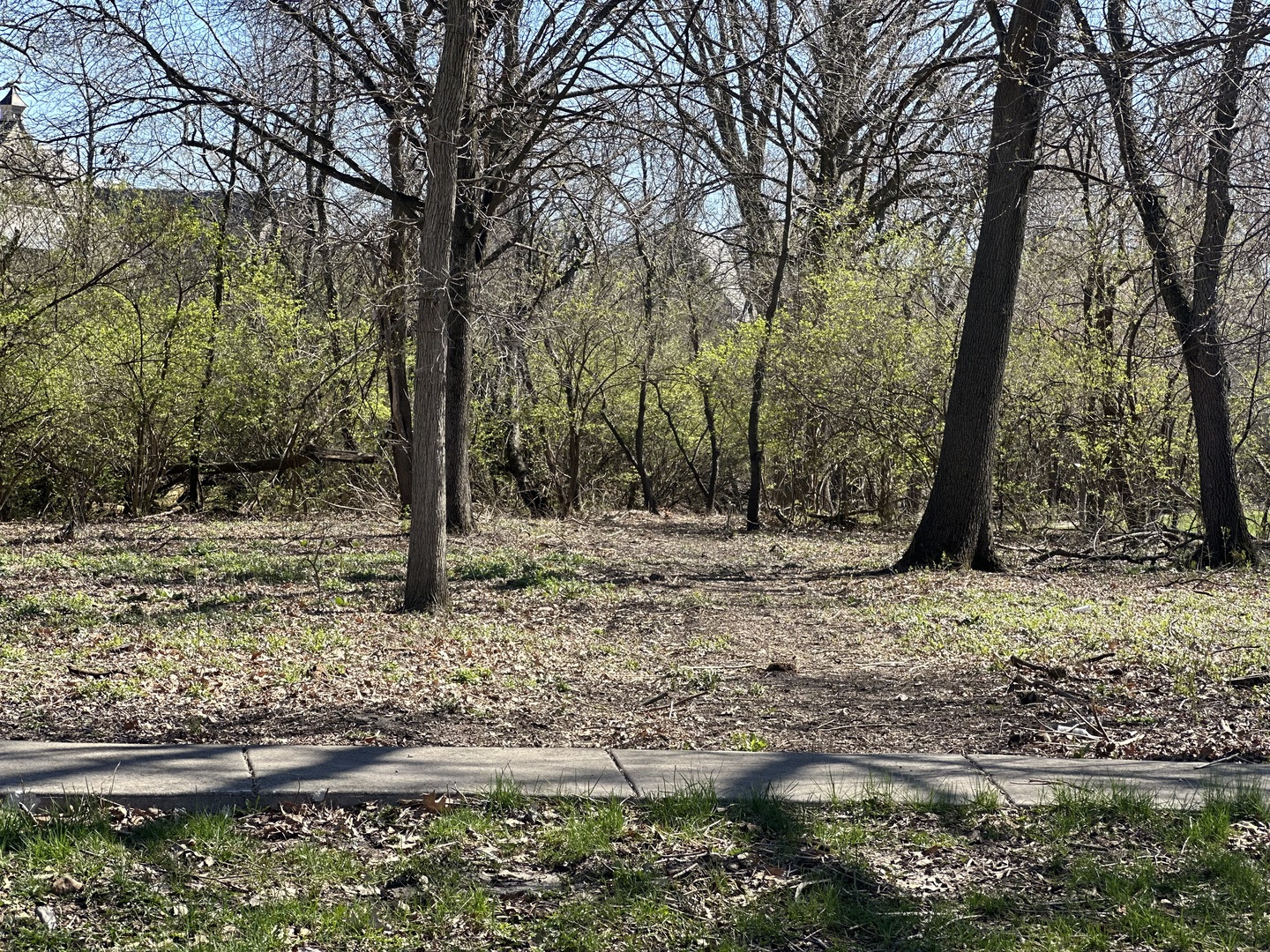 24863 W Sterling Oaks Court Property Photo 19