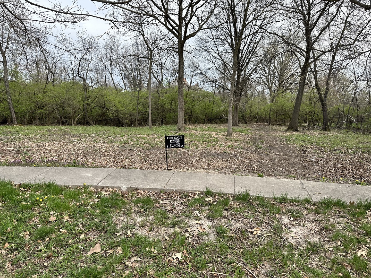 24863 W Sterling Oaks Court Property Photo 20