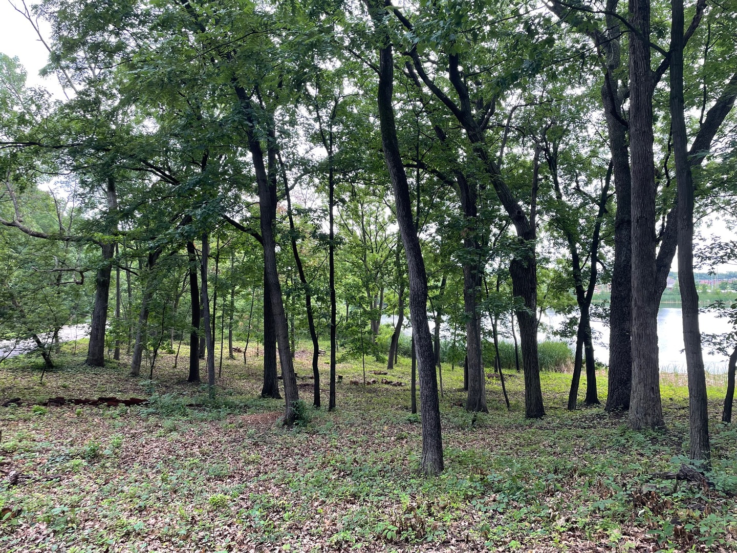 22145 W White Pine Road Property Photo 3