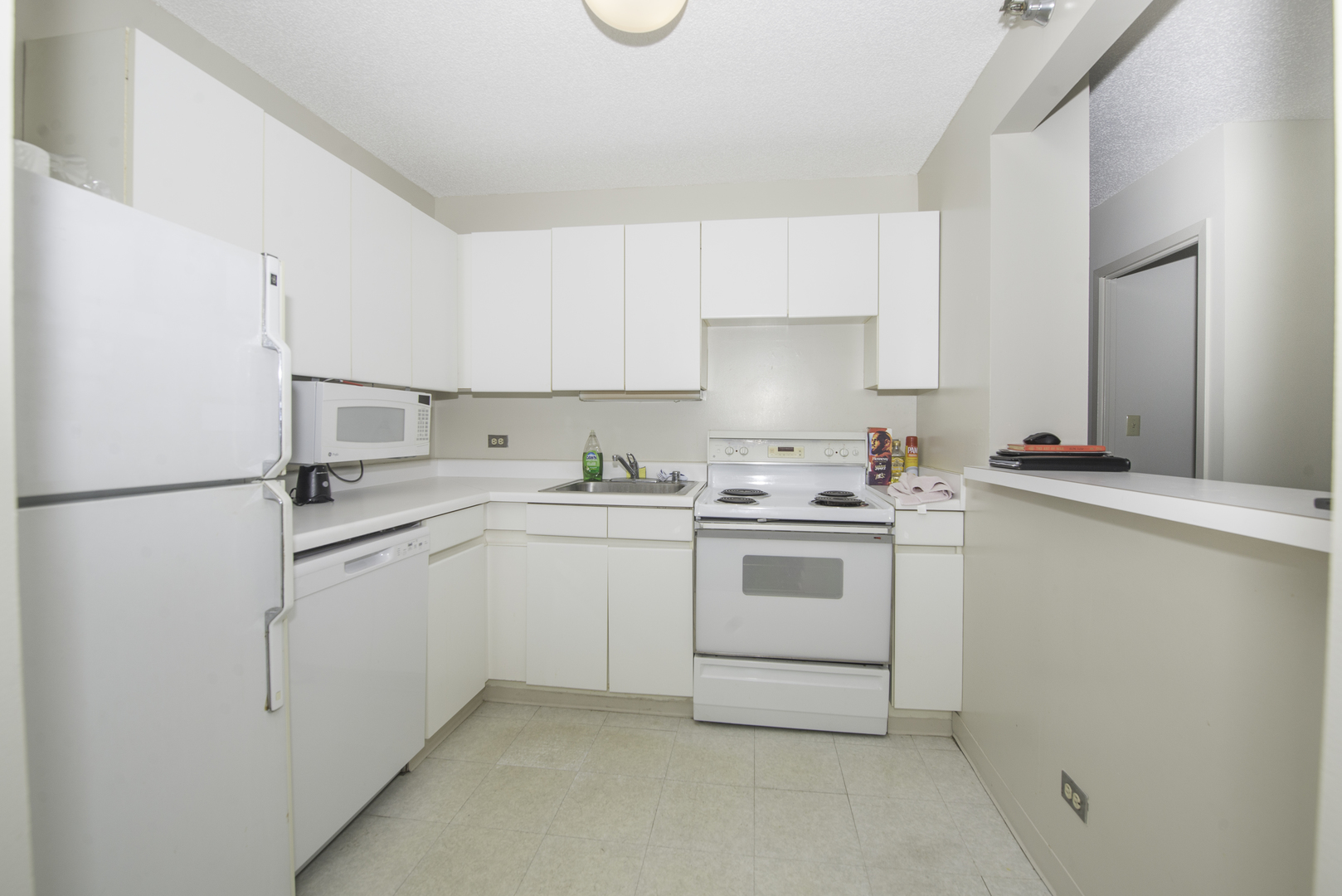 440 N Wabash Avenue 1007 Property Photo 5