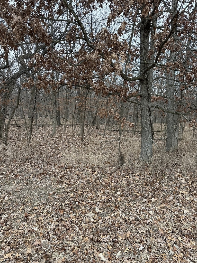 Lot 24 S Eagle Chase Drive Property Photo 1
