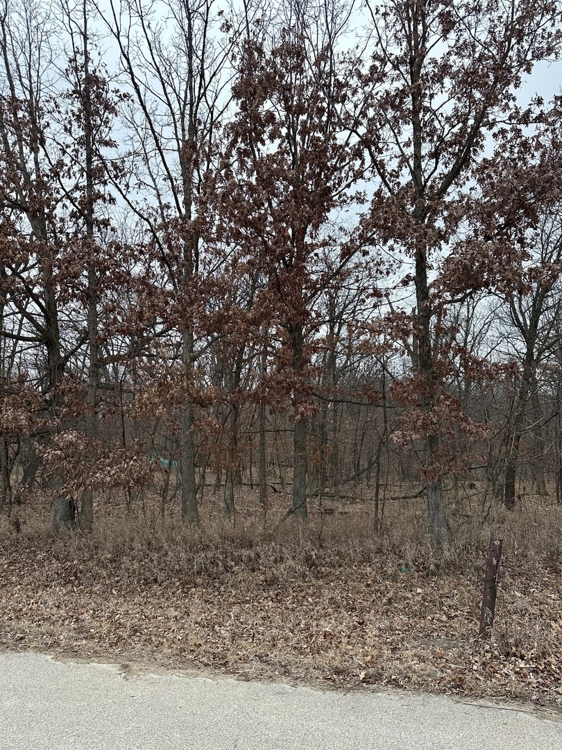Lot 24 S Eagle Chase Drive Property Photo 2