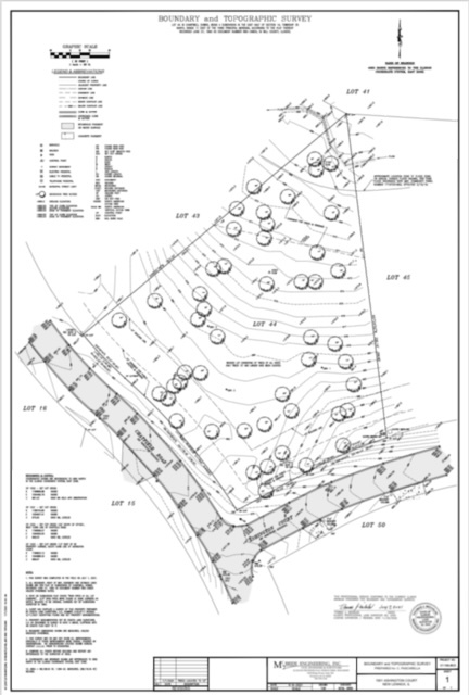1901 Ashington Court Property Photo 9