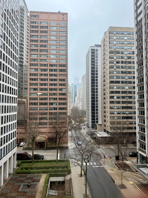 253 E Delaware Street 7H
