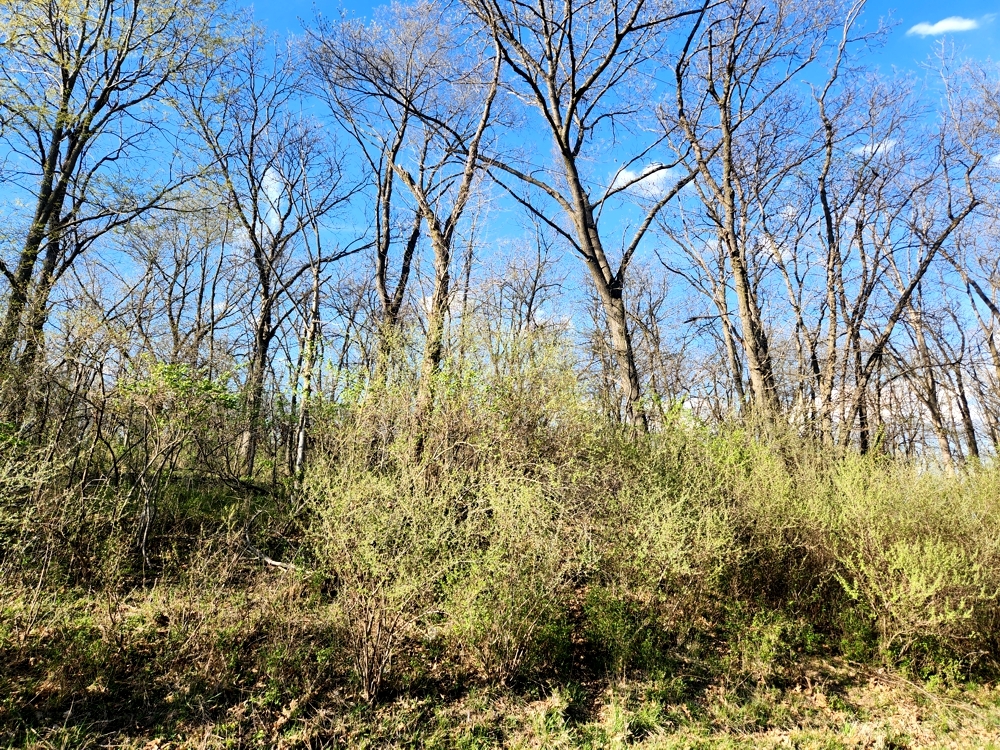 Lot 516 Brandywine Circle Property Photo