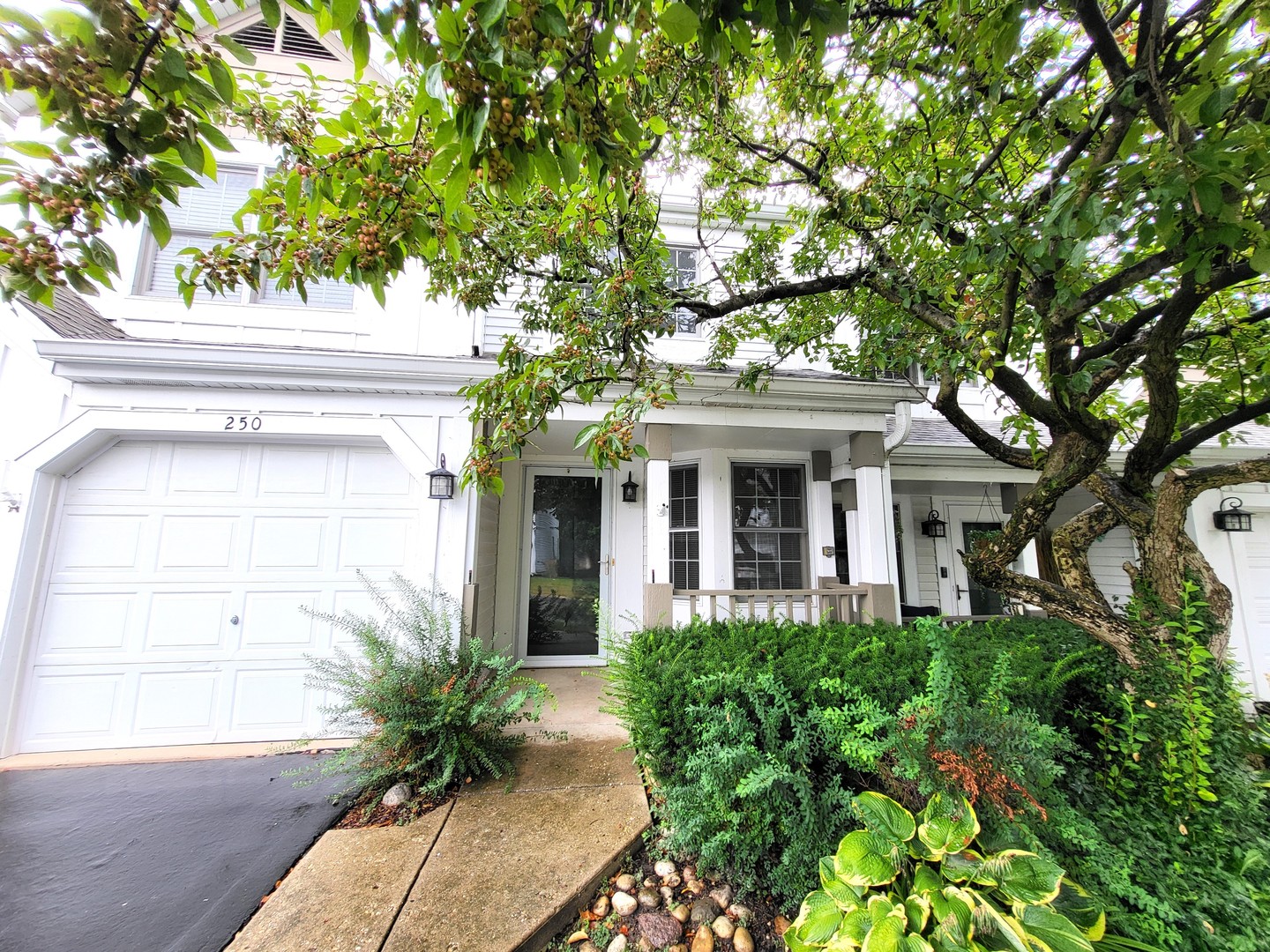 250 Spring Point Drive Property Photo