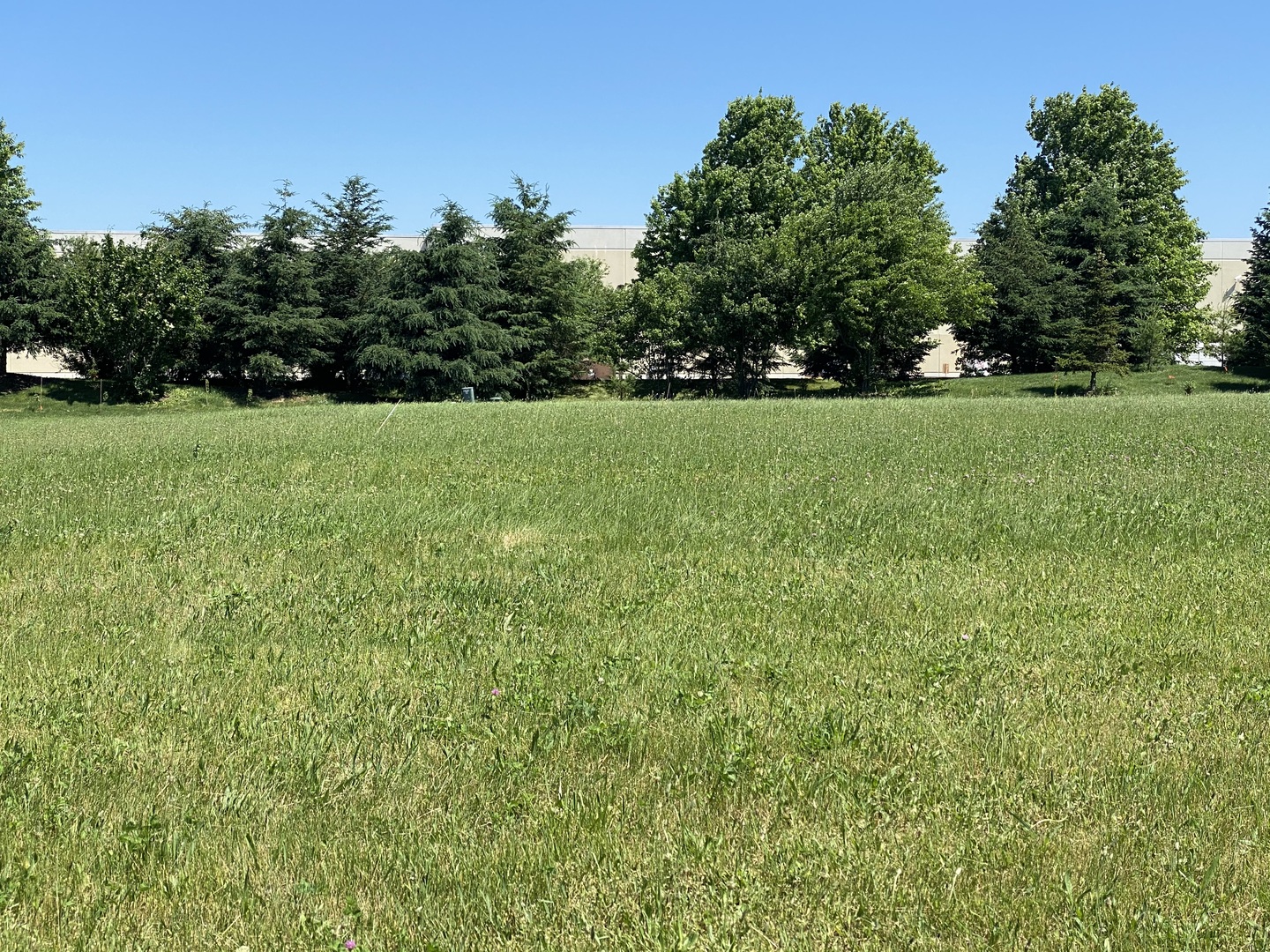 209 Whittemore Drive Property Photo