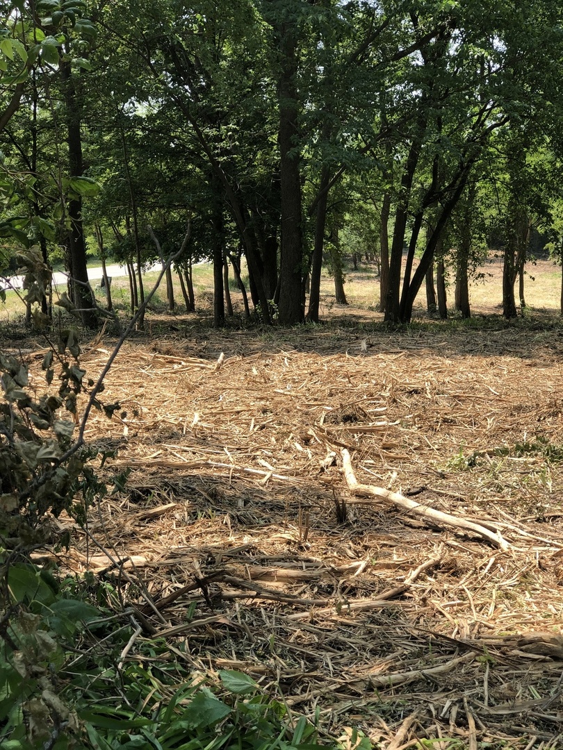 Oak Meadow Ct Lot 5 Oak Meadow Ct Court Property Photo 4