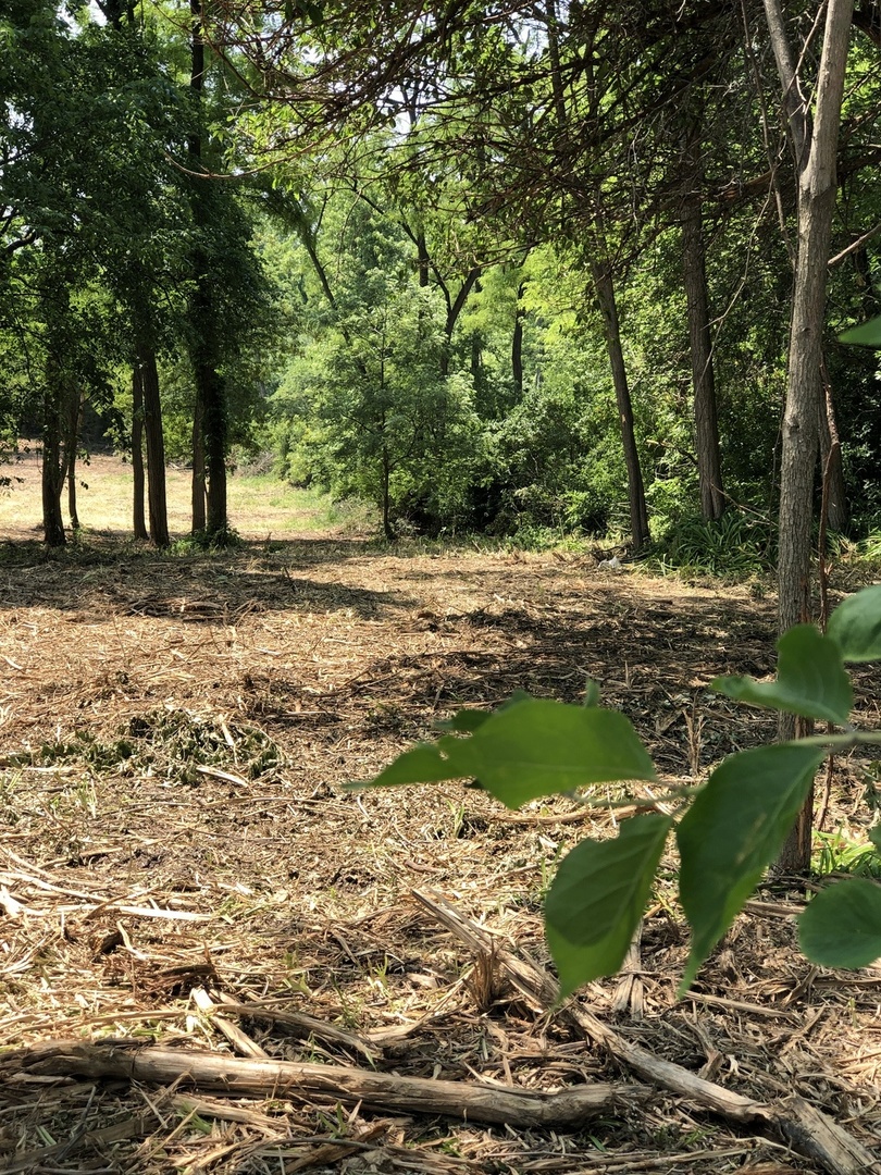Oak Meadow Ct Lot 5 Oak Meadow Ct Court Property Photo 5