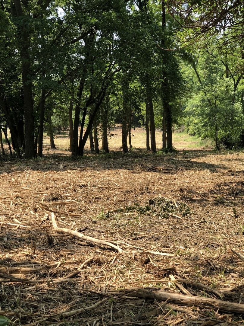 Oak Meadow Ct Lot 5 Oak Meadow Ct Court Property Photo 6