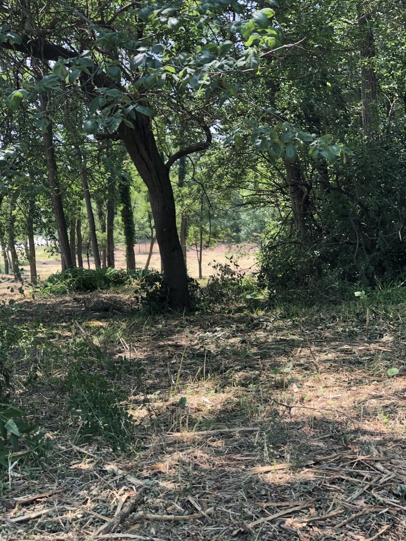 Oak Meadow Ct Lot 5 Oak Meadow Ct Court Property Photo 7