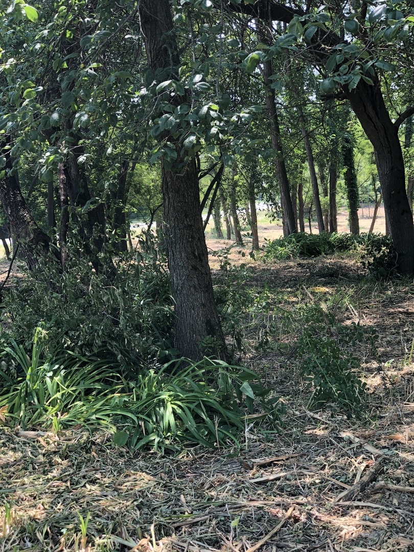 Oak Meadow Ct Lot 5 Oak Meadow Ct Court Property Photo 9