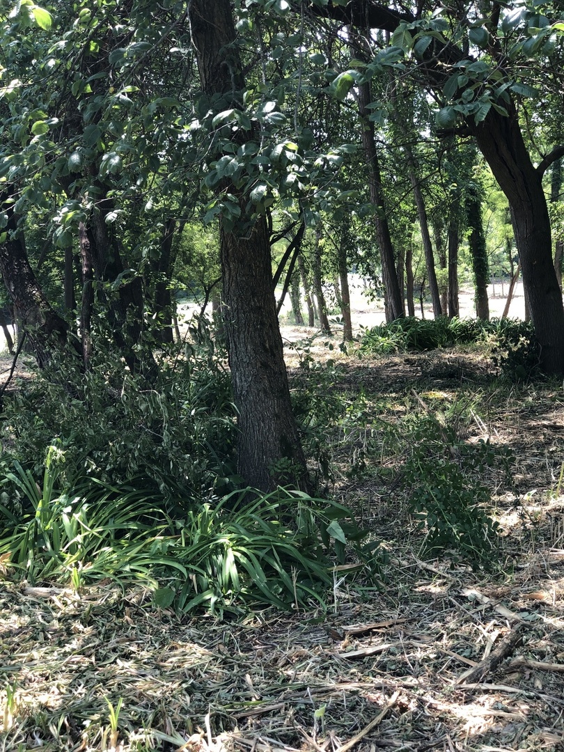 Oak Meadow Ct Lot 5 Oak Meadow Ct Court Property Photo 11