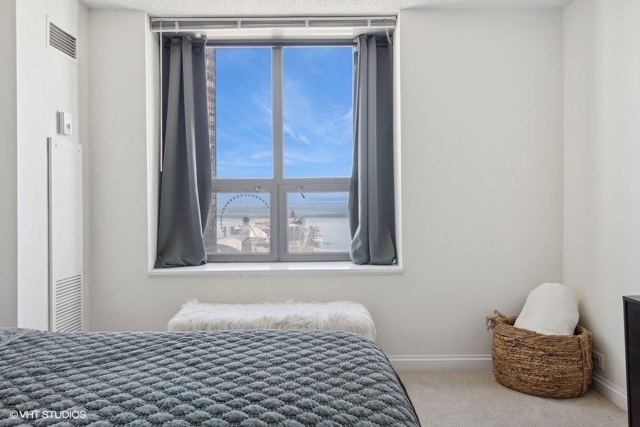 474 N Lake Shore Drive 1905 Property Photo 17