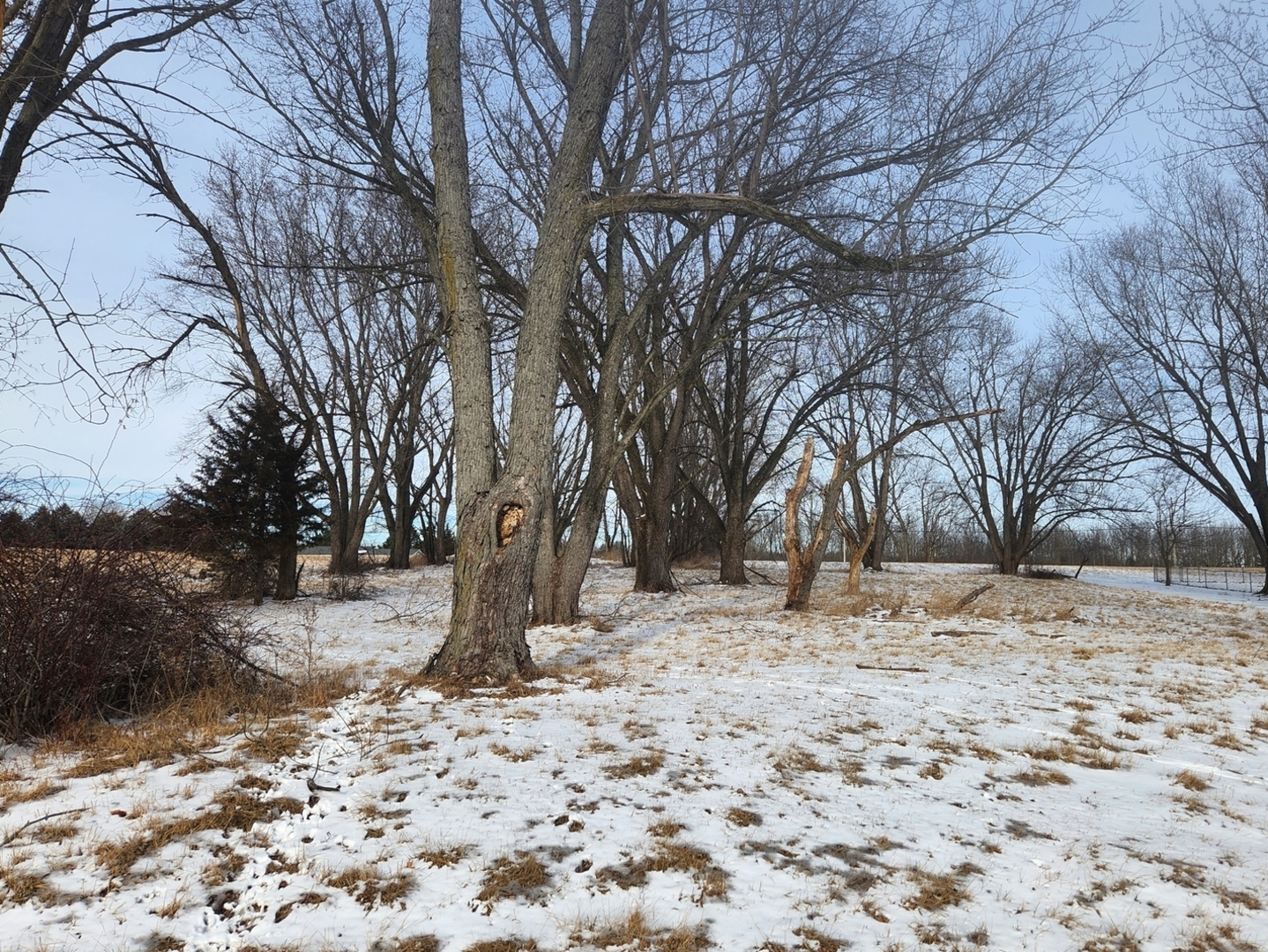 Lot 456/457/458 Sunnyslope Drive Property Photo