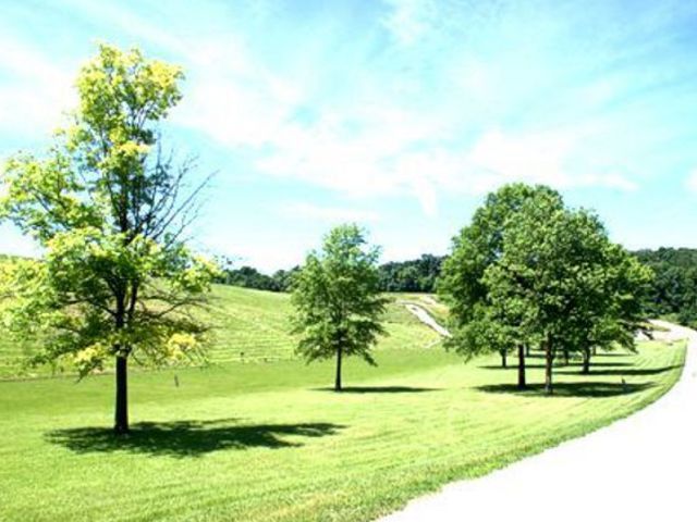 Lot 454/455 Elk Drive Property Photo 23
