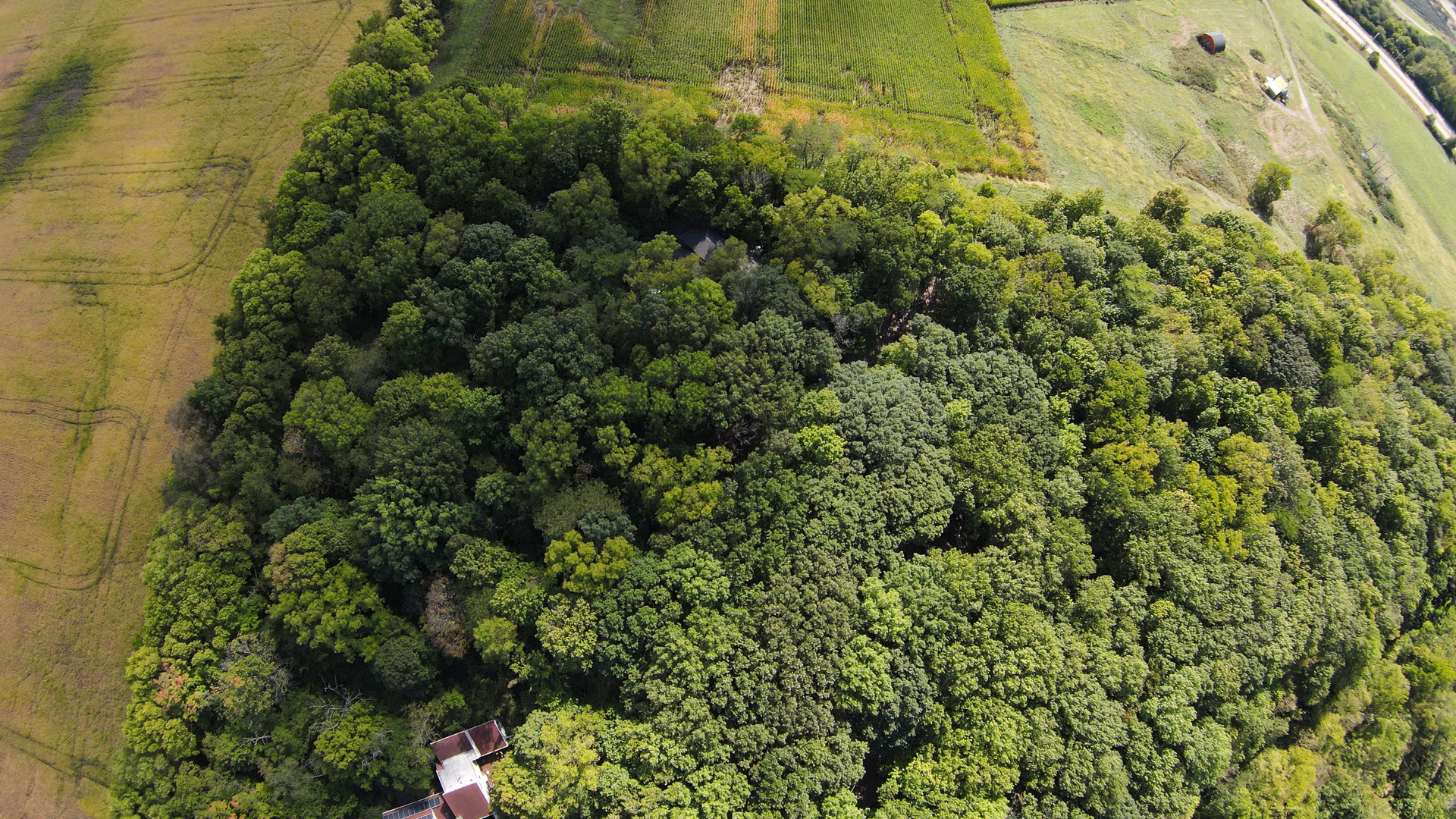Lot 9 Raintree Woods Drive Property Photo