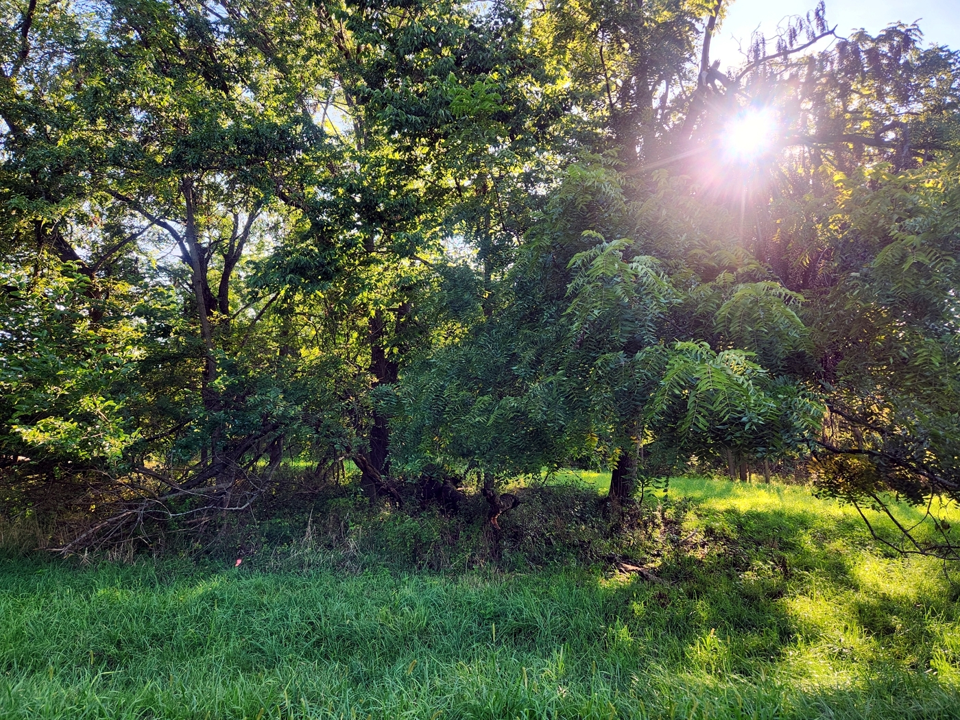 Lot 1481 Westover Drive Property Photo