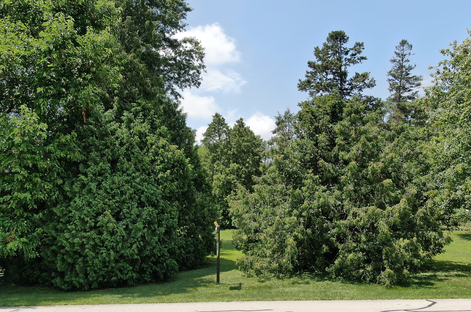 6136 Bentley Avenue Property Photo