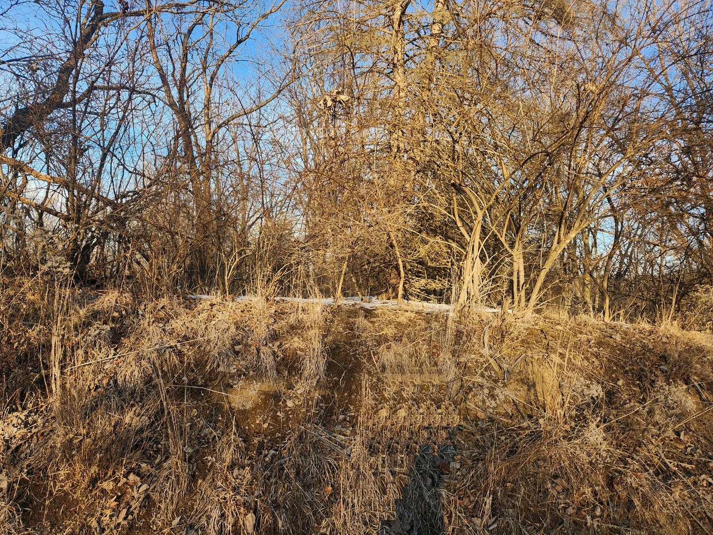 Lot 1536 Lake Wildwood Drive Property Photo