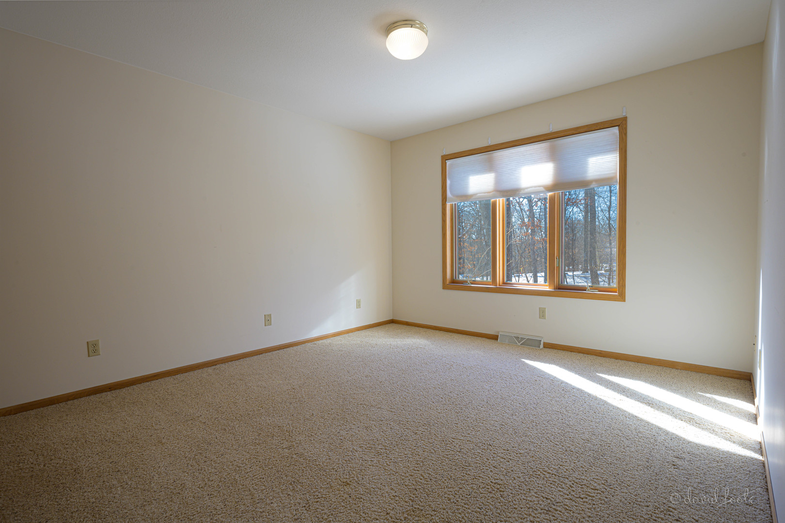 18 Colony Lane Property Photo 16