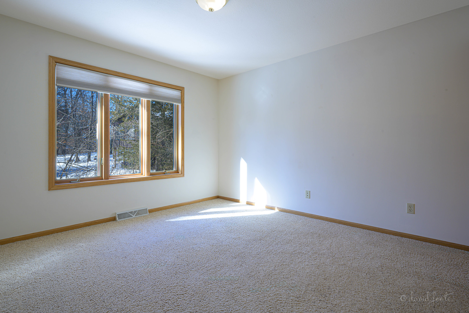 18 Colony Lane Property Photo 18