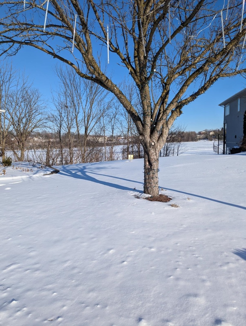 1159 Mystic Cove Drive Property Photo